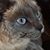 Nathan John's profile image