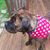 Lorraine Karl Flora's profile image