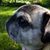 Marian McClain Hawn's profile image