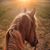 Christina Hyke's profile image