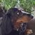 Kathy Folden-Steele's profile image