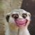 Terri Josephine Ordoña's profile image