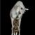 Jennifer Cox-Smith's profile image