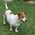 Nancy Fonseca's profile image