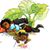 Richard Chatters's profile image
