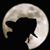 Richard Michels's profile image