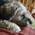 Denise Fernandez's profile image