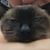 Teresa Bulle's profile image