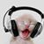 Laura Lewis's profile image