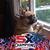 Jenn Reichenbacher's profile image
