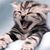 Marcy Myrtil's profile image