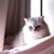 Tiffaco Chère's profile image