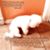 Robert Cosme's profile image