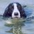 David Lea's profile image