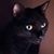 Wyvone Corbin Eller's profile image