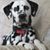 Karen Covert's profile image