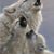 KC Quirk's profile image