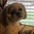 Donna Baldwin's profile image