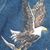 Clifton Smith's profile image