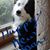 Donna Orlowski's profile image