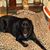 Delores Demott's profile image