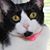Sherry Barbee Faggart's profile image