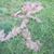 Bobbie Swindlehurst's profile image