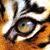 Tareq El Agamy's profile image