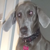 Maybelline C.'s profile image