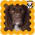 Sherry Mayfield-Kachmarik's profile image