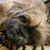 Pili Mar's profile image