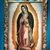Lucia Correa-Vasquez's profile image
