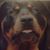 Kelly Le Ann Galles's profile image