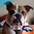Arnold Krause's profile image
