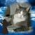 Donna Duminski's profile image