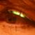 Lee Redding's profile image