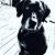 Missy Oh Blockme's profile image