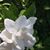 Sandra Swenson's profile image