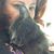 Jennifer Lynne Parker's profile image