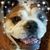 Heather Evans Taylor's profile image