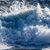 Sallie Papp's profile image