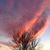 Linda M Steele's profile image