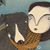 Judith Clay's profile image