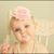 Sheri A Mulligan's profile image