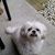 Vicki Hall's profile image