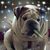 Dale Dye's profile image