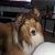 Heather Visger's profile image
