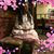 Jeon Domingue's profile image