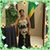 Delcie Heather Clarke's profile image