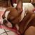 Sarah Hunnicutt's profile image